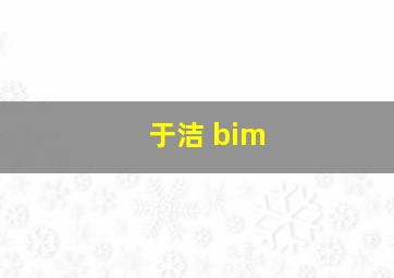 于洁 bim